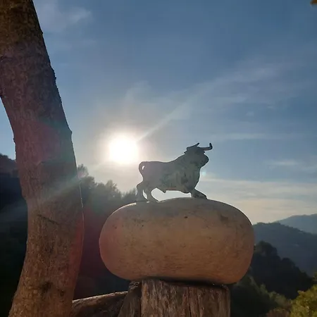 Susurros De Montana
